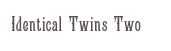 Identical Twins Two